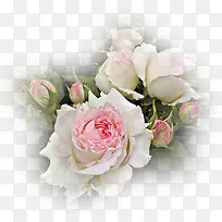 ����ͼ���زĻ���ͼ��-������