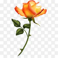 装饰图案花草ps素材-空若网 装饰图案花草ps素材-空若网