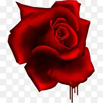 国画花卉素材矢量花草素材-空若网 国画花卉素材矢量花草素材-空若网