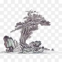 国画古树素材-空若网 国画古树素材-空若网
