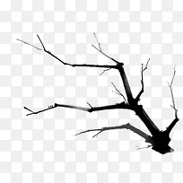 树-空若网 树-空若网