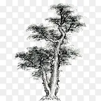 ¹ú»Ê÷-¿ÕÈôÍø ¹ú»Ê÷-¿ÕÈôÍø