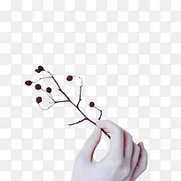 手-空若网 手-空若网