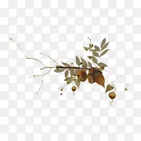 枯叶枯枝-空若网 枯叶枯枝-空若网