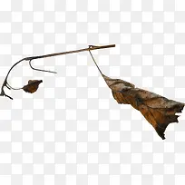 枯枝-空若网 枯枝-空若网