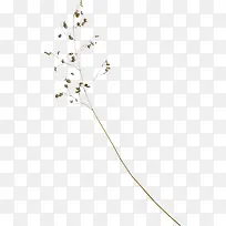 棕色枯枝枯叶-空若网 棕色枯枝枯叶-空若网