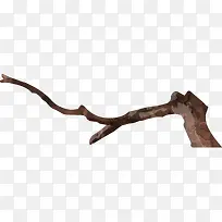 树枝-空若网 树枝-空若网