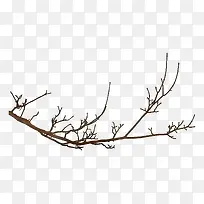 ������֦-������