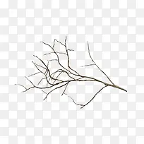 ��֦-������