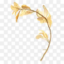 ��֦-������