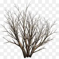 ��֦-������