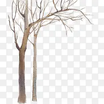 Ê÷-¿ÕÈôÍø Ê÷-¿ÕÈôÍø