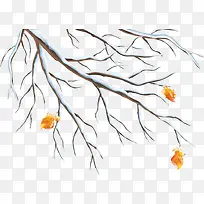 ������֦-������