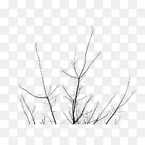 ��֦��֦֦��-������