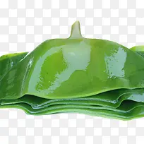 海带切片-空若网 海带切片-空若网