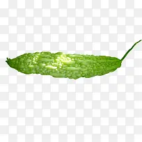 苦瓜-空若网 苦瓜-空若网