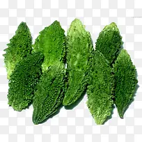 苦瓜-空若网 苦瓜-空若网