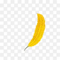 黄色的苦瓜-空若网 黄色的苦瓜-空若网