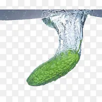 苦瓜-空若网 苦瓜-空若网