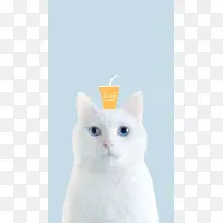 ��ɫСèͷ�ϵĹ�֭-������