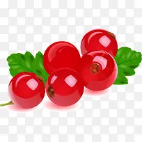 矢量新鲜水果-空若网 矢量新鲜水果-空若网