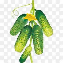 蔬菜 果蔬 水果 美食-空若网 蔬菜 果蔬 水果 美食-空若网