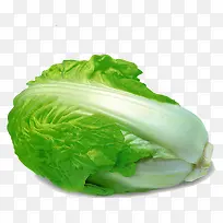 ´ó°×²ËÊß²Ë-¿ÕÈôÍø ´ó°×²ËÊß²Ë-¿ÕÈôÍø