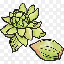 蔬菜 果蔬 绿色食品 果实 青菜-空若网 蔬菜 果蔬 绿色食品 果实 青菜-空若网