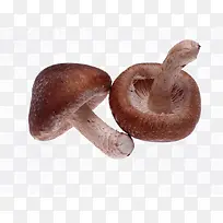 食物材料-空若网 食物材料-空若网