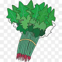 �߲� ���� ��ɫʳƷ ��ʵ ���-������