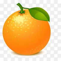 手绘橙子-空若网 手绘橙子-空若网