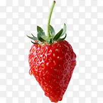 水果草莓-空若网 水果草莓-空若网