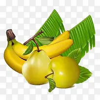 香蕉-空若网 香蕉-空若网