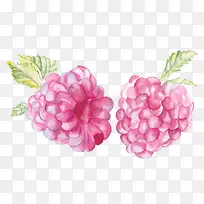 食物插画-空若网 食物插画-空若网