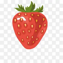 �ֻ��ݮ-������