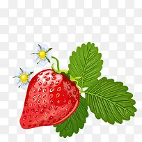 �ֻ��ݮ-������