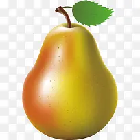 �߲� �߹� �Ϲ� ʳ�� ˮ��-������