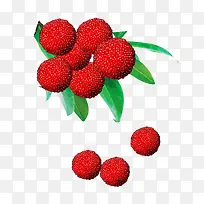 杨梅水果素材-空若网 杨梅水果素材-空若网