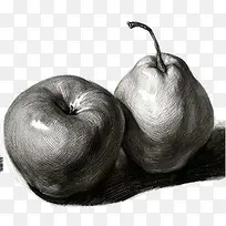 水果-空若网 水果-空若网