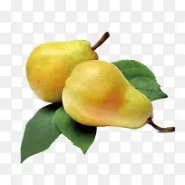 水果食物-空若网 水果食物-空若网