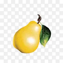 水果食物-空若网 水果食物-空若网