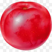 李子-空若网 李子-空若网