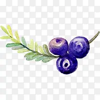 ˮ����ݮ-������