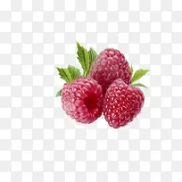 ��ݮˮ��-������