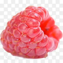 水果树莓-空若网 水果树莓-空若网