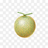 ˮ��ʳ��-������