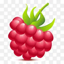 手绘树莓-空若网 手绘树莓-空若网