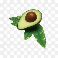 ˮ��ʳ��-������