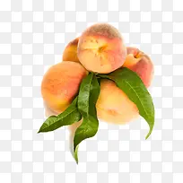 套子水果-空若网 套子水果-空若网