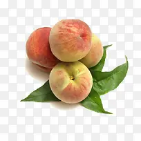 桃子食物-空若网 桃子食物-空若网